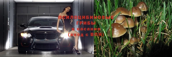 гашиш Вяземский