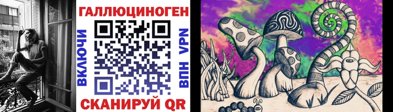 Псилоцибиновые грибы Psilocybine cubensis  Купить  Красноперекопск 